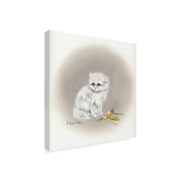 Peggy Harris 'White Kitten' Canvas Art,14x14